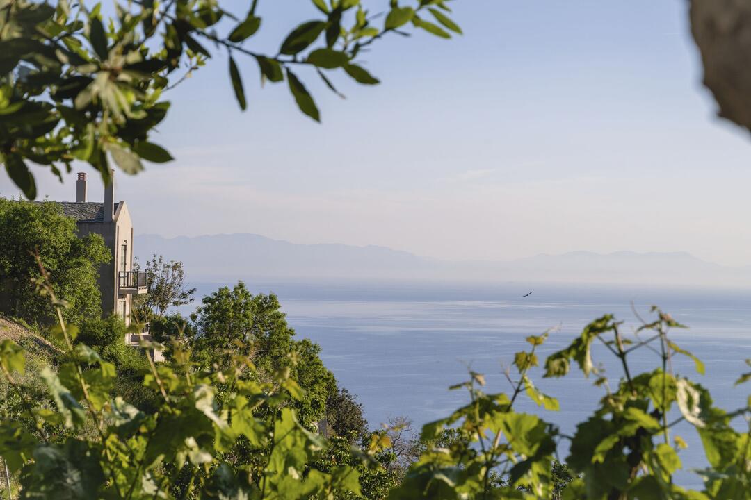 Region Image