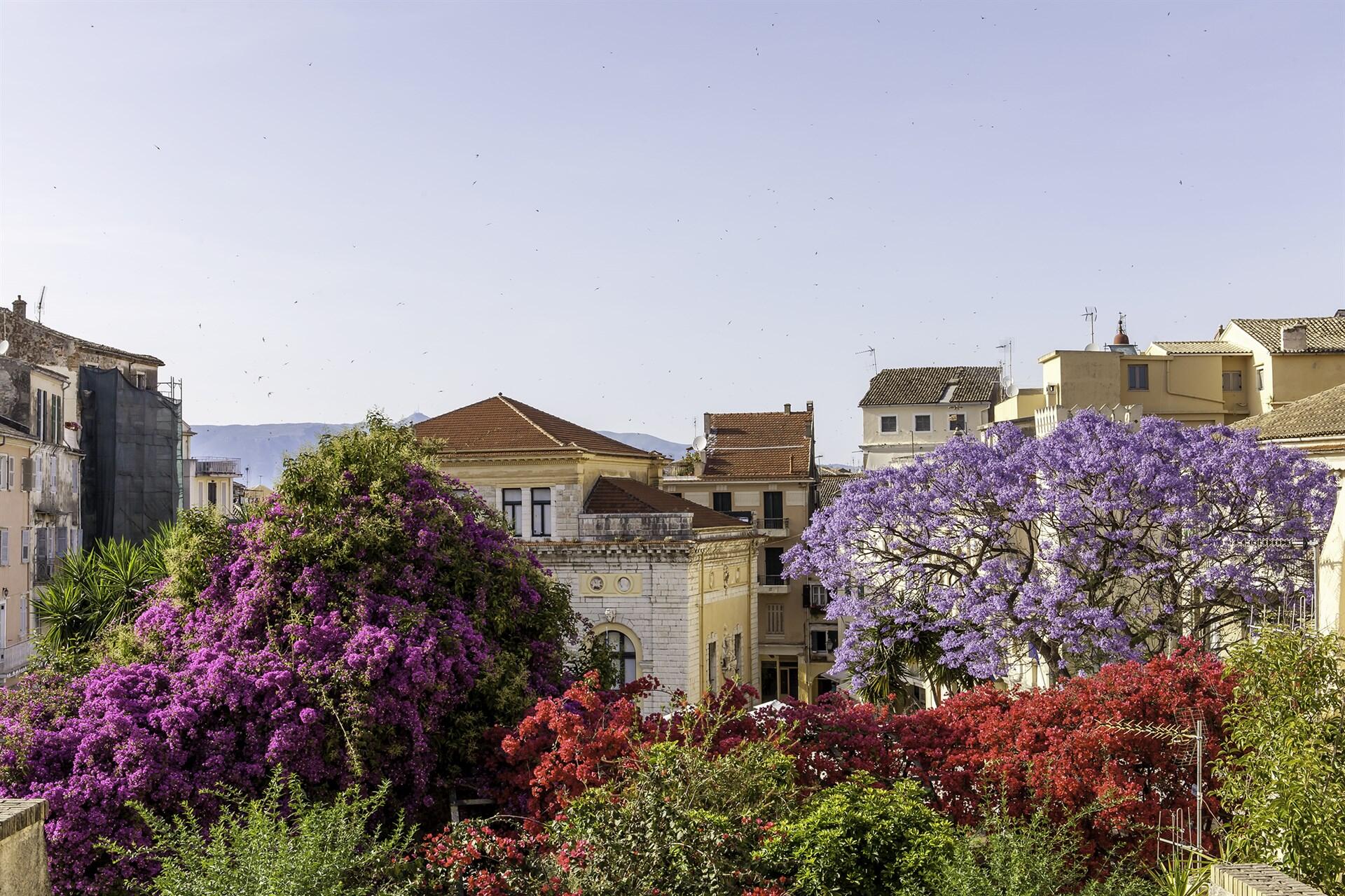 /blog/best-things-to-do-in-corfu-on-holiday