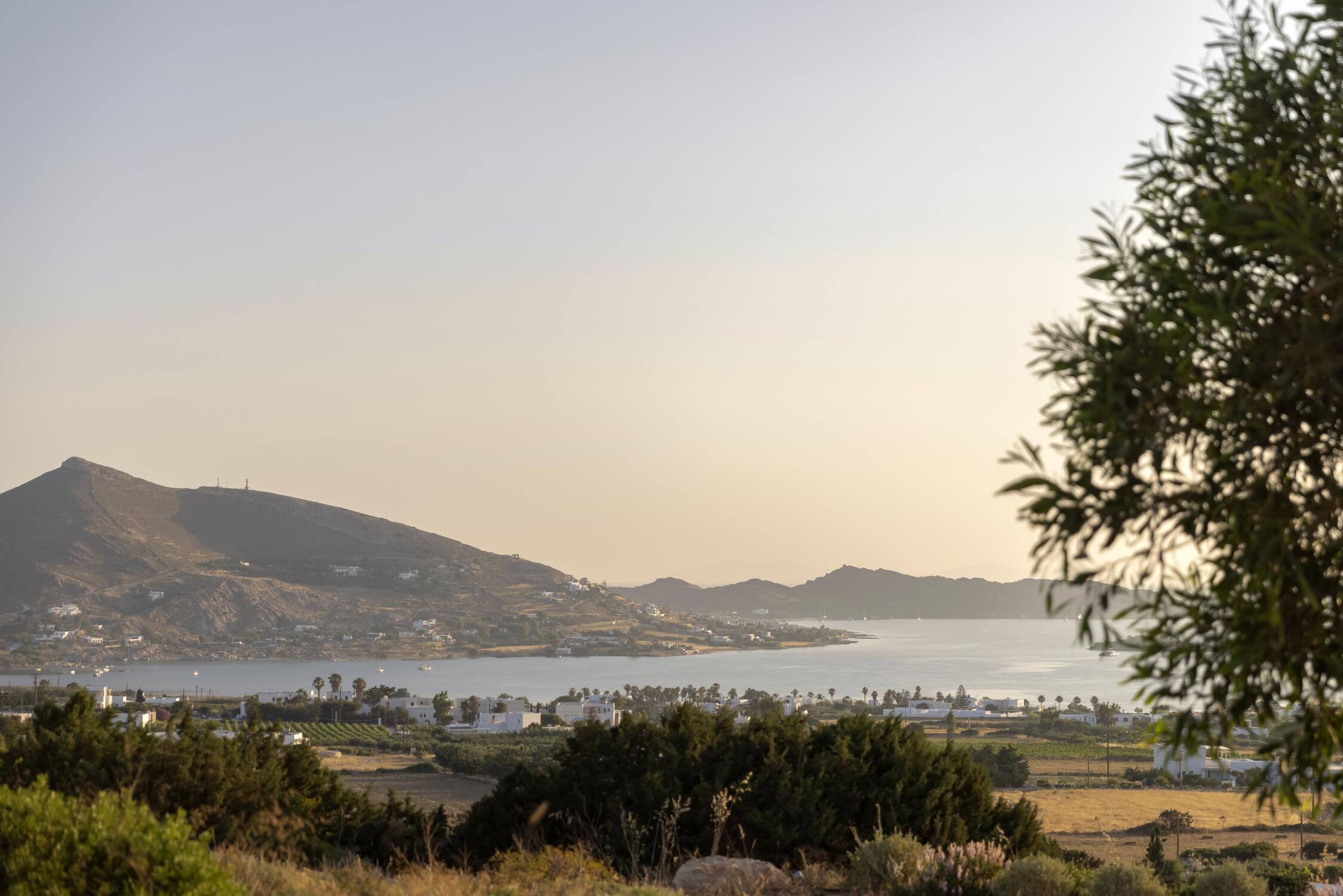 Where to Stay in Paros: A Curated Guide to the Island’s Distinctive Regions
