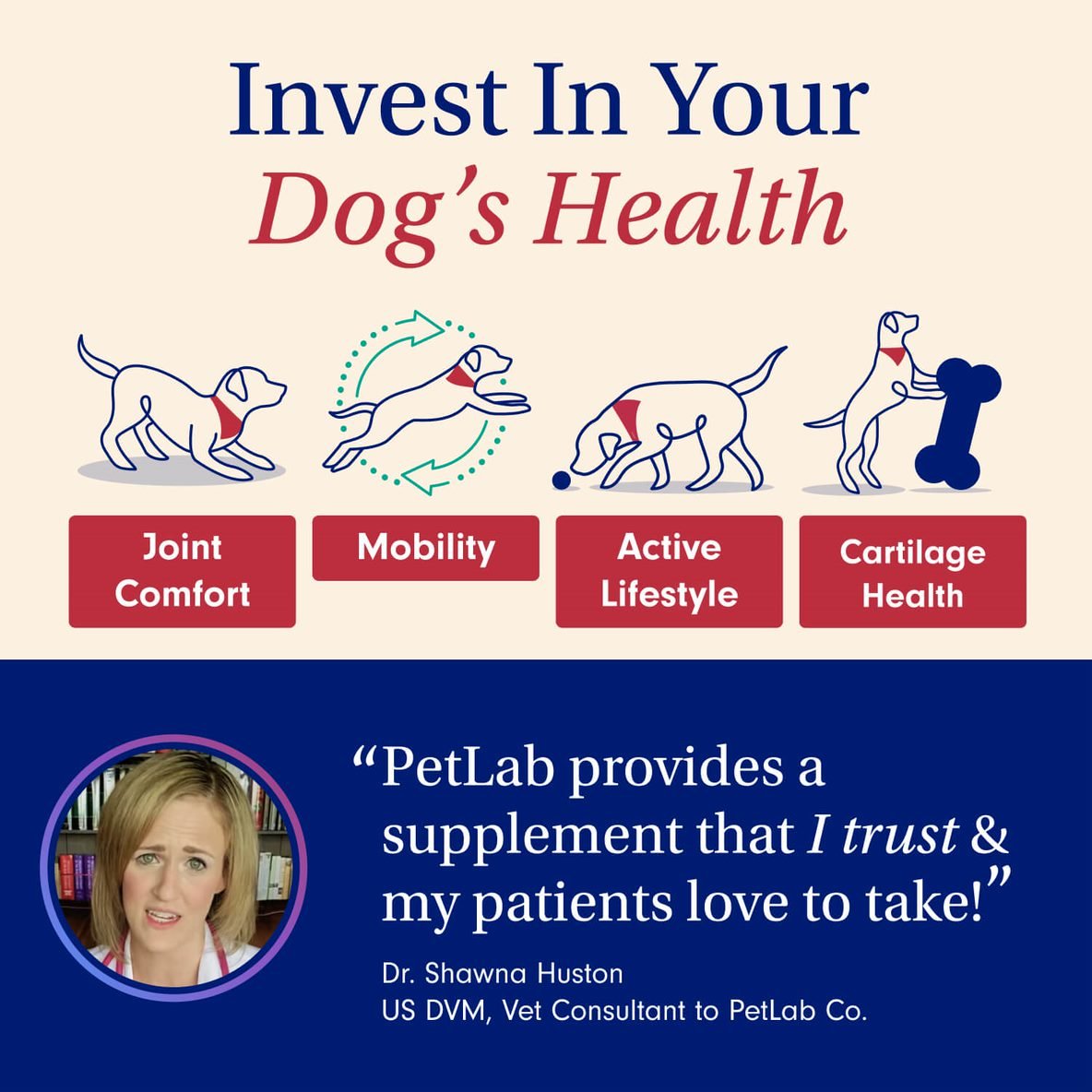 dogs health