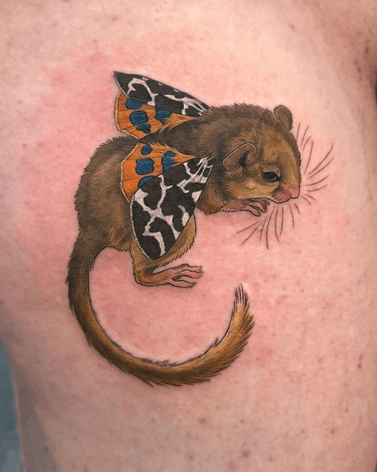 Kitty Foster Squirrel with Butterfly Wings