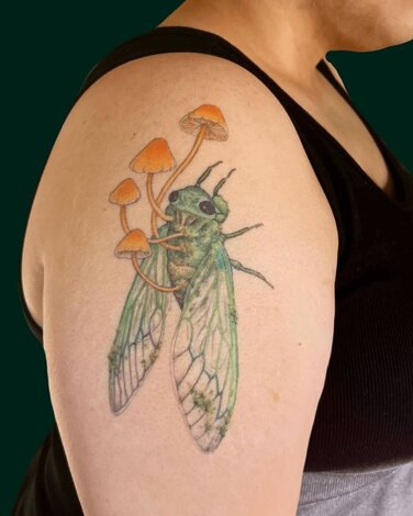 Pamela Carvalho Mushroom Fly Tattoo on arm