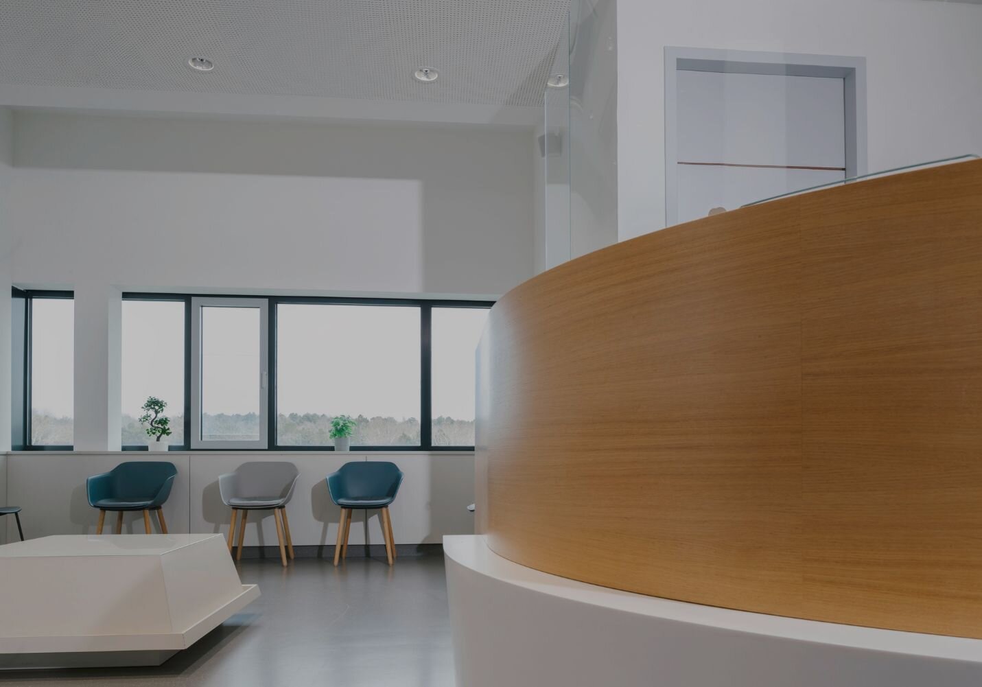 Der Wartebereich bei haelsi 1180, deine Kinderorthopädie Praxis in Wien