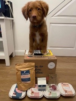 Dog with front paws on a Different Dog delivery box