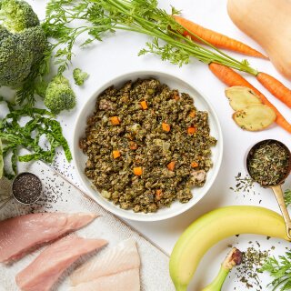 Different Dog meal in a bowl in the centre with fresh ingredients around