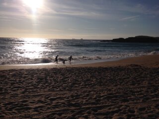 Alex, Charlie and their dog crumble running on the beach