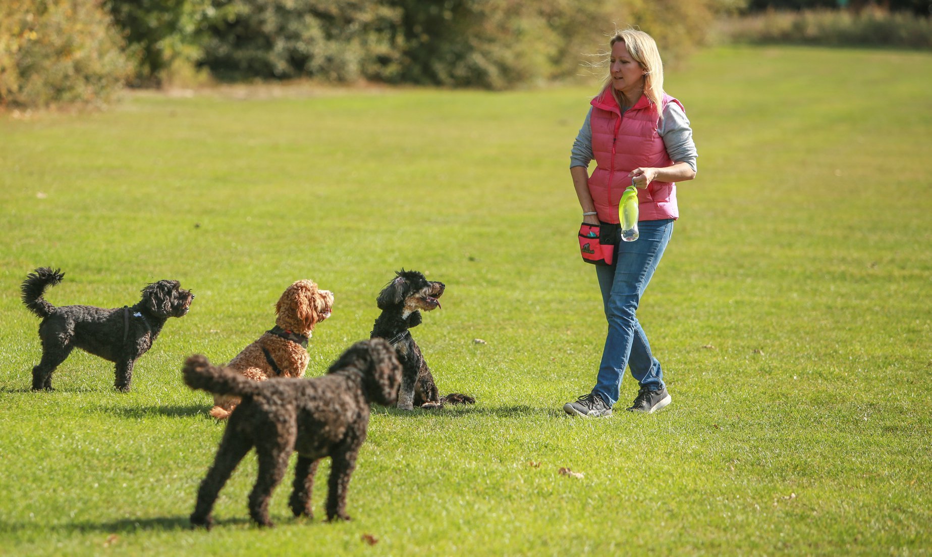 Dog behaviourist Diane with dogs
