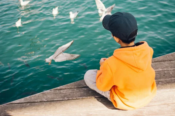 A child in an orange hoodie sitting on a dock, watching seagulls.