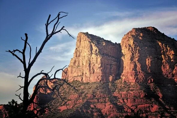 Scenic view of Arizona's iconic red rock formations at sunset, with a silhouette of a tree in the foreground, highlighting the state's natural beauty.