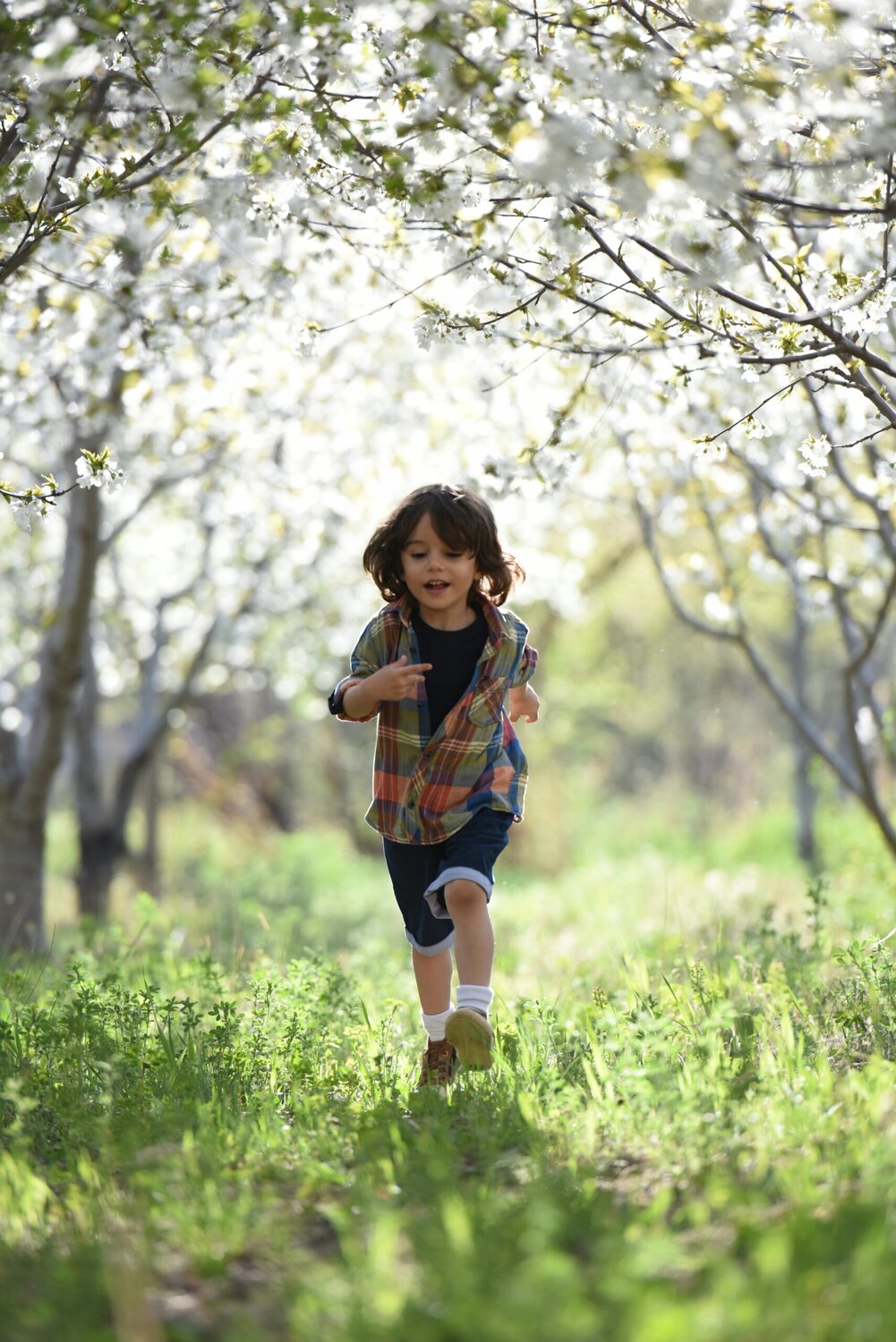How to fight parental alienation against a mother