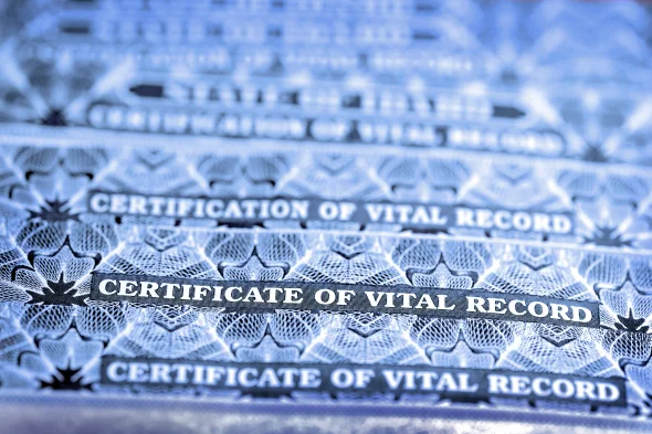 Certificate of Vital Records for Birth Official Documents