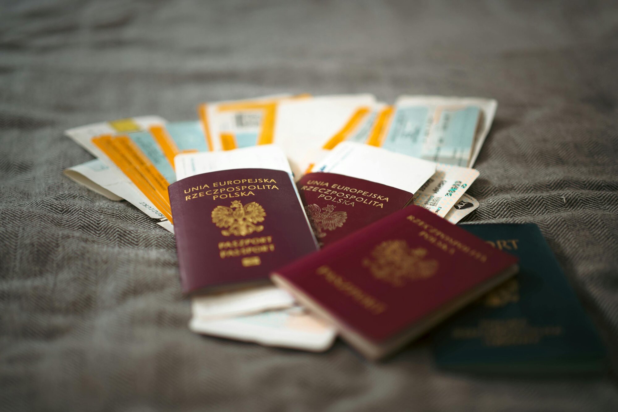 Do undocumented immigrants have constitutional rights in the US?