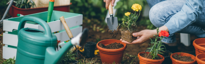 Person holding plant