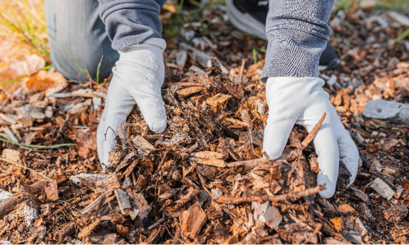 Mulch