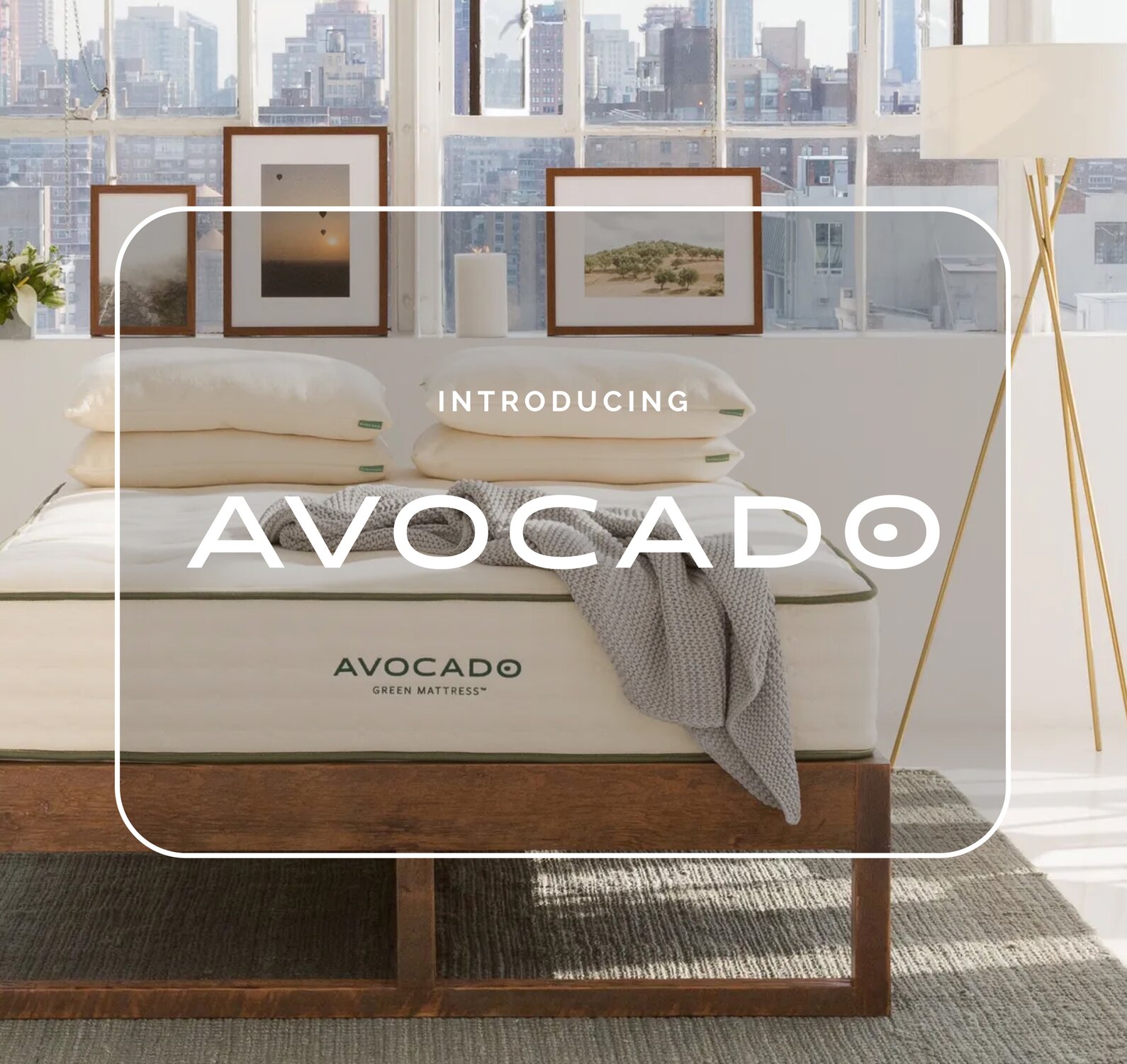 Introducing Avocado Green Mattress