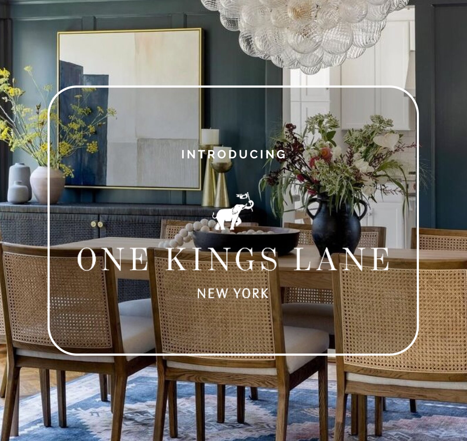 Introducing One Kings Lane