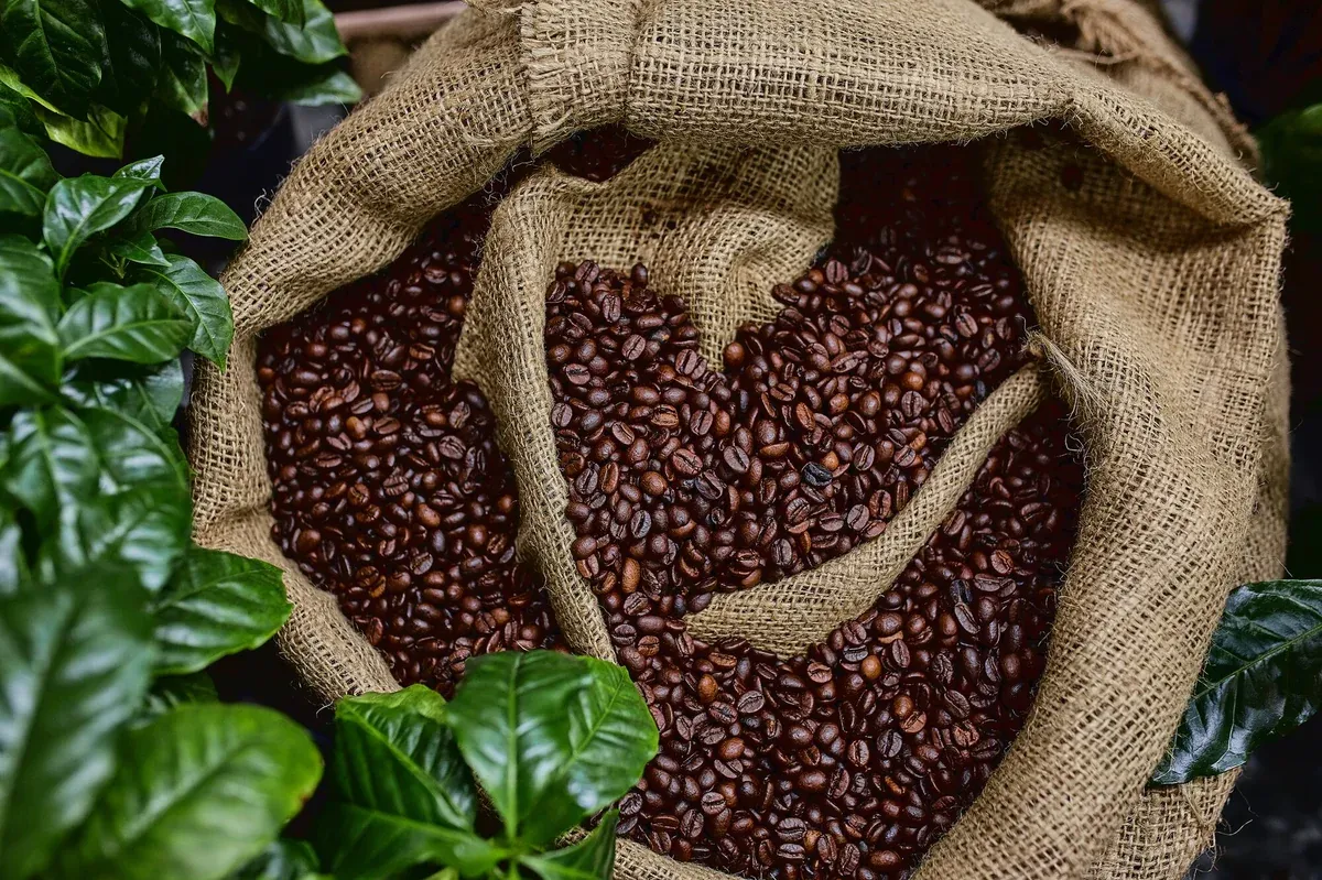 Coffee beans on top of a bag