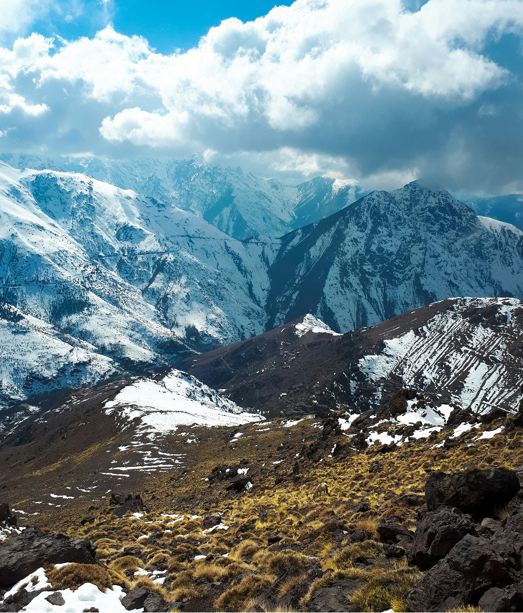 Atlas Mountains Day Trip