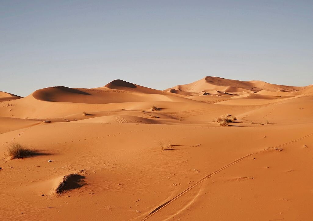 Sahara