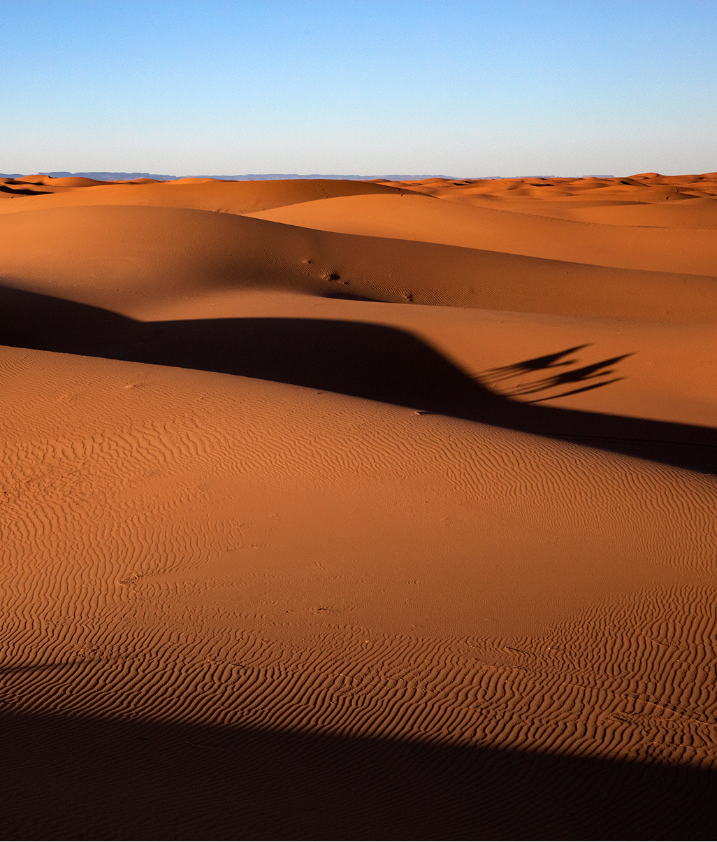 Sahara Desert Tour