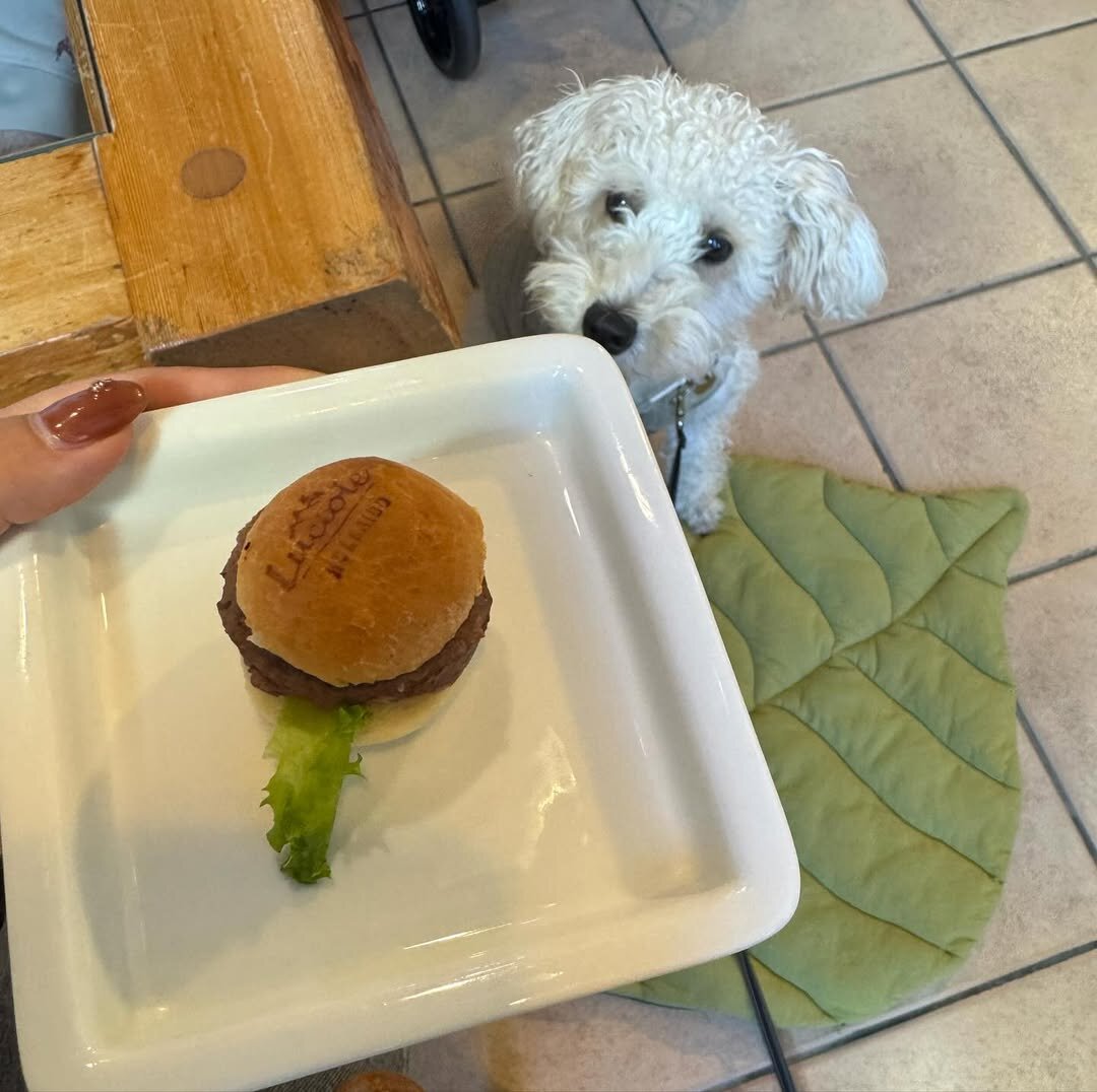 三重の犬連れできるカフェ