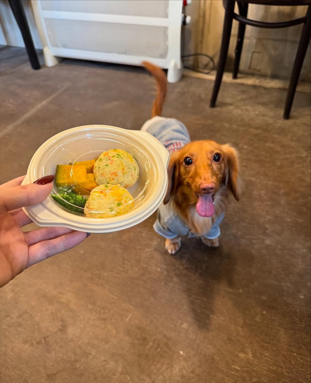 浜松市の犬連れできるカフェ