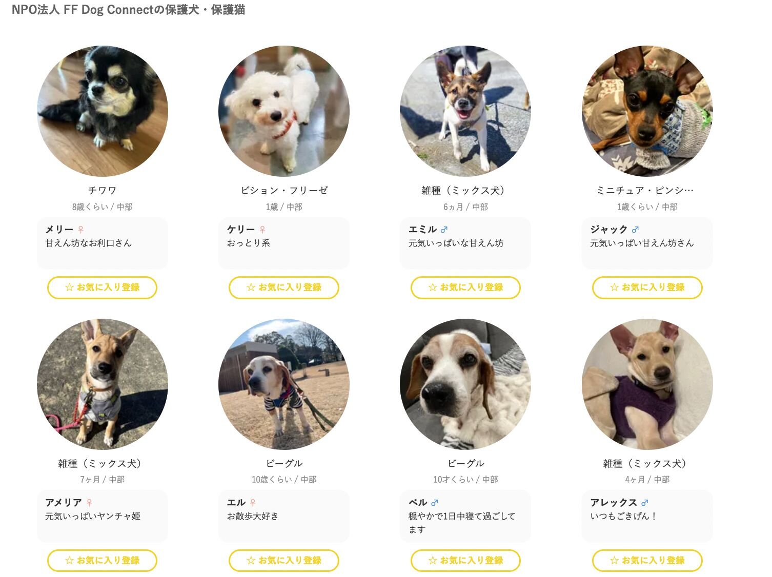 NPO法人 FF Dog Connectで保護している犬の一覧