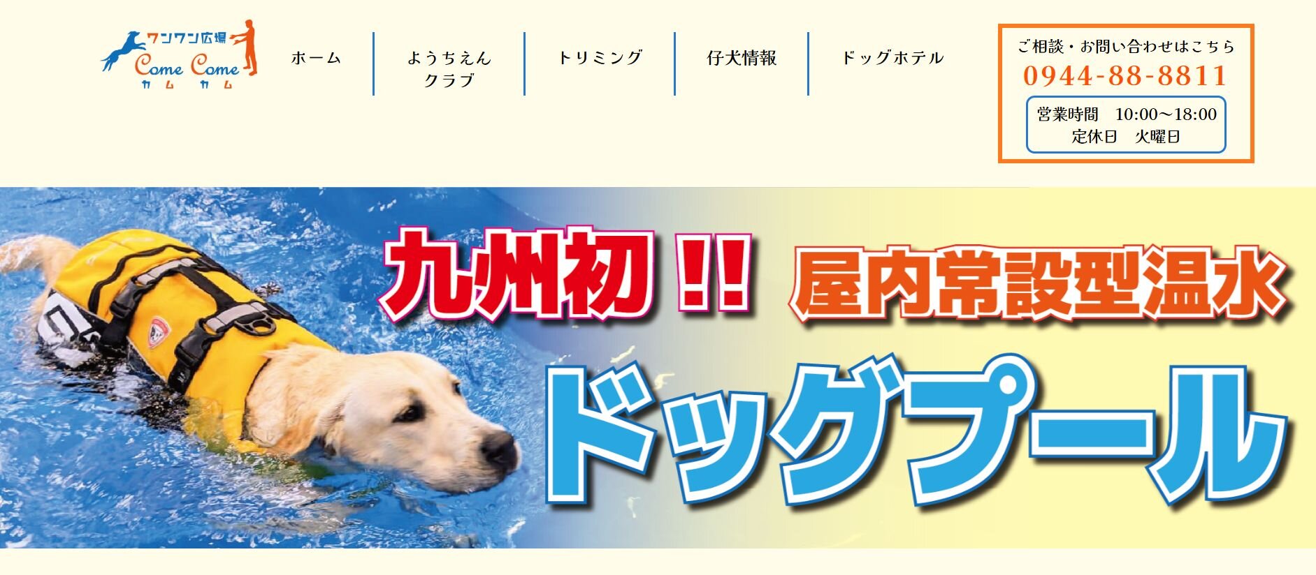 フィットネス・プールなどがある犬のジム施設