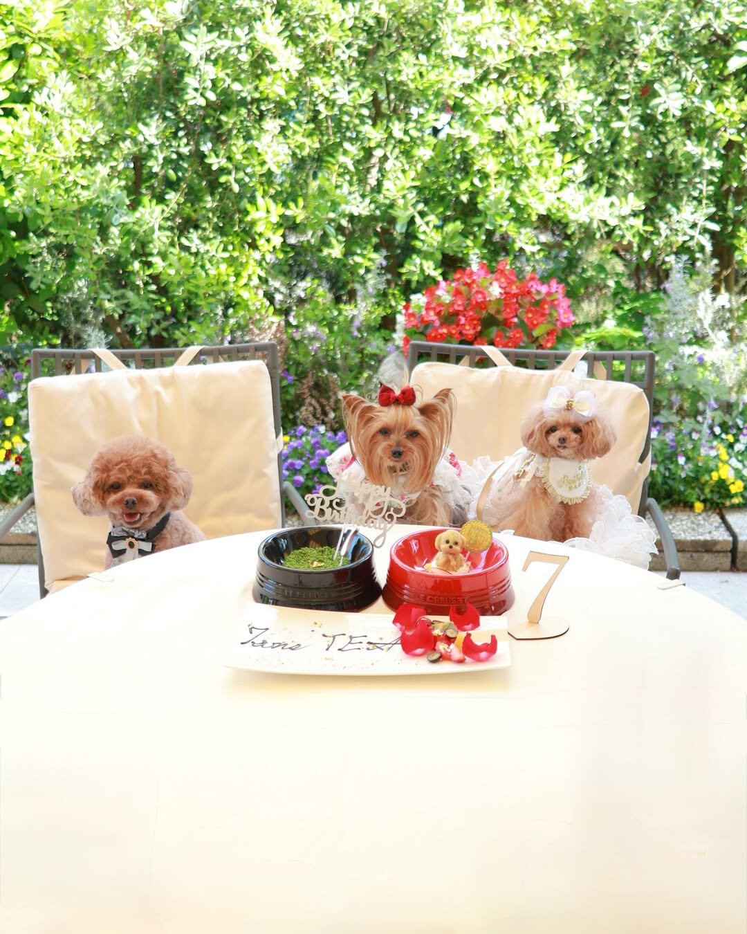 恵比寿の犬連れできるカフェ