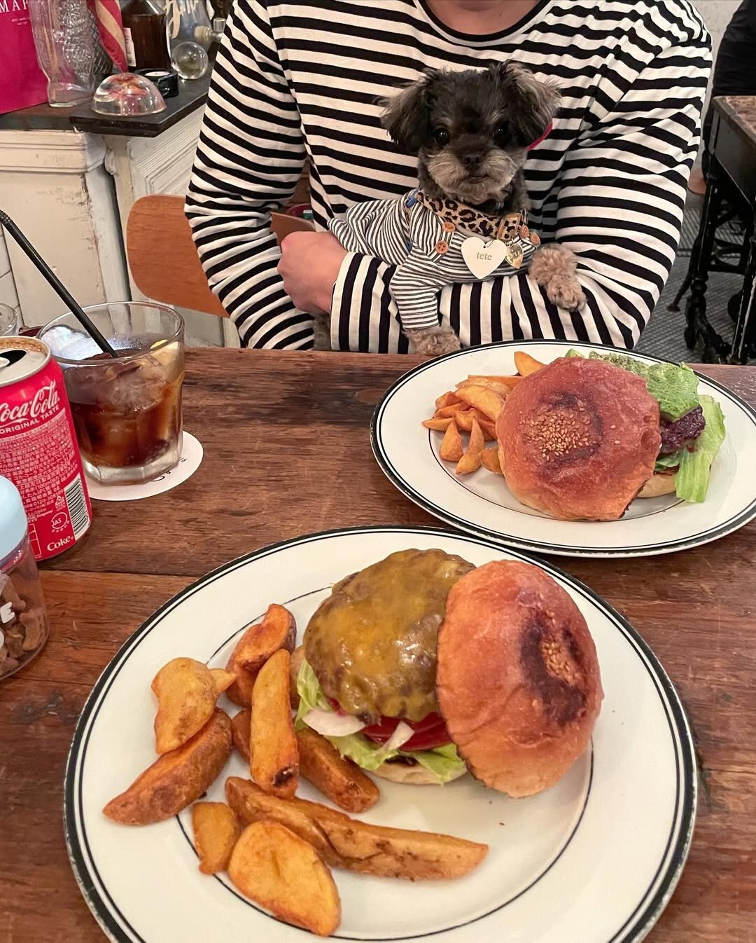 恵比寿の犬連れできるカフェ