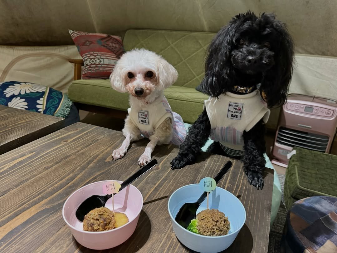 熊本市の犬連れできるカフェ