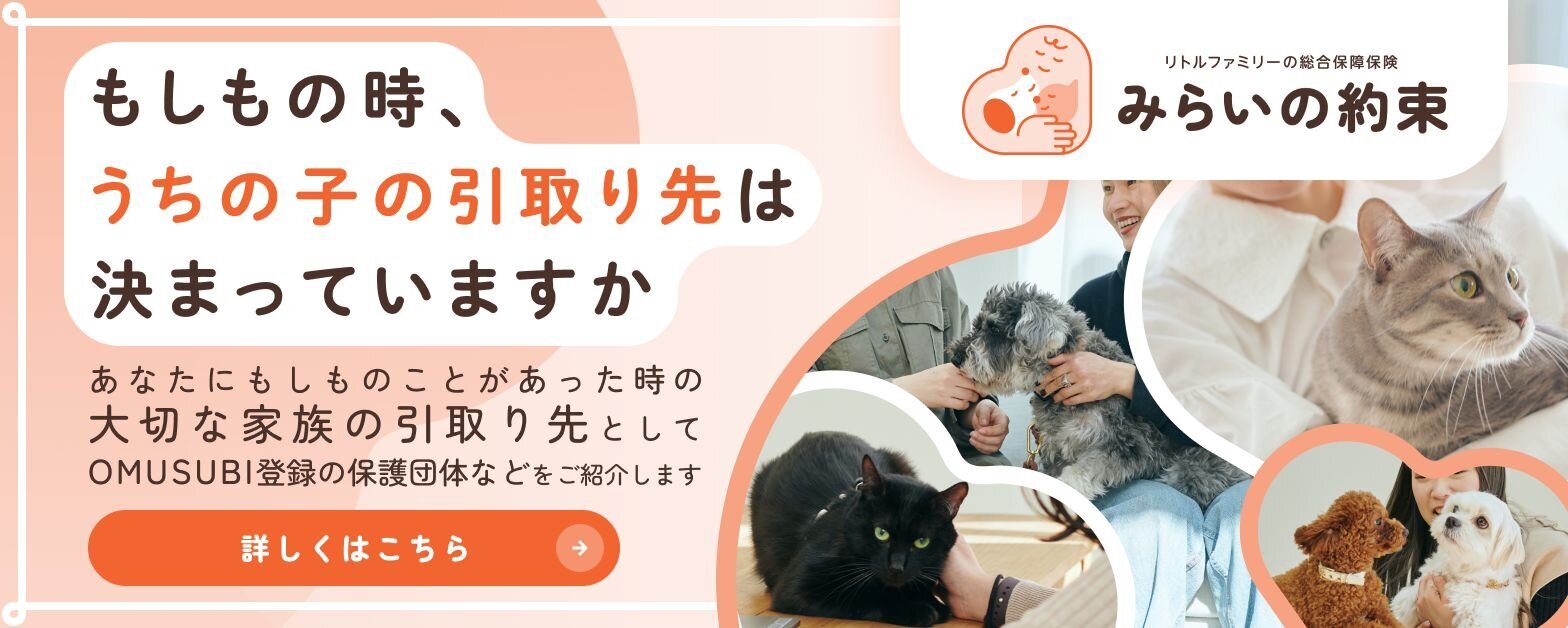 みらいの約束のイメージ