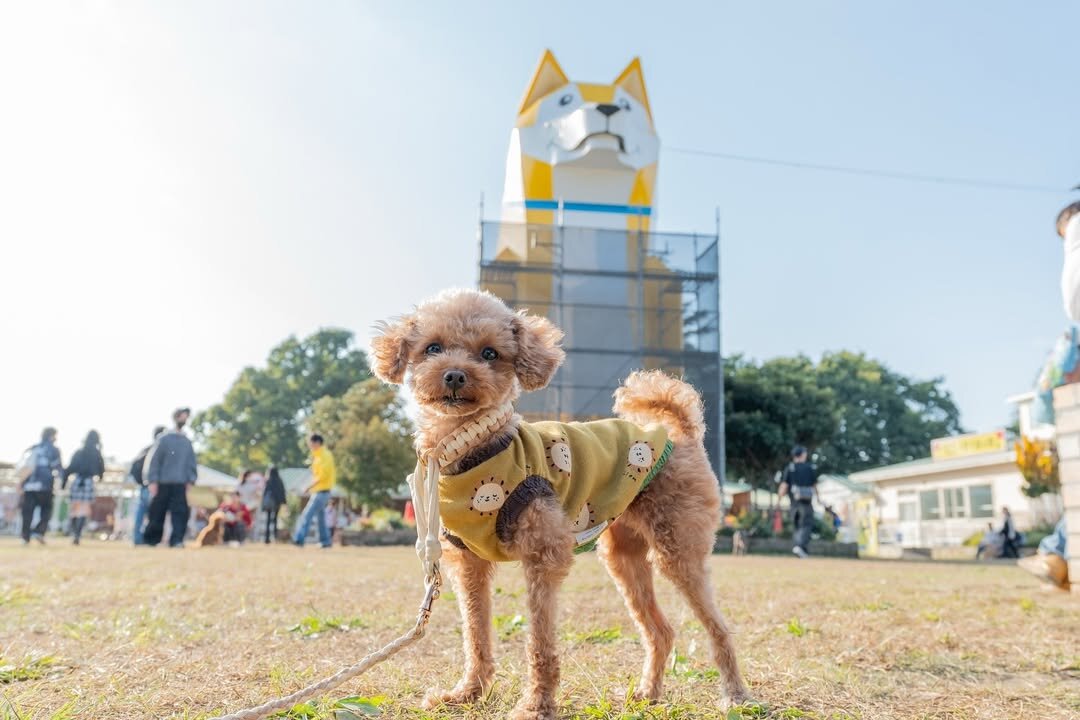 犬と行けるテーマパークにいる犬