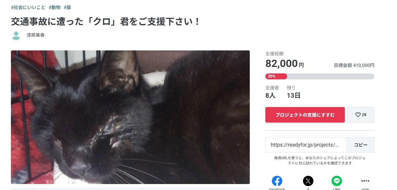 クラウドファンディング実施中のNPO法人動物救済会とクロ君のプロジェクト
