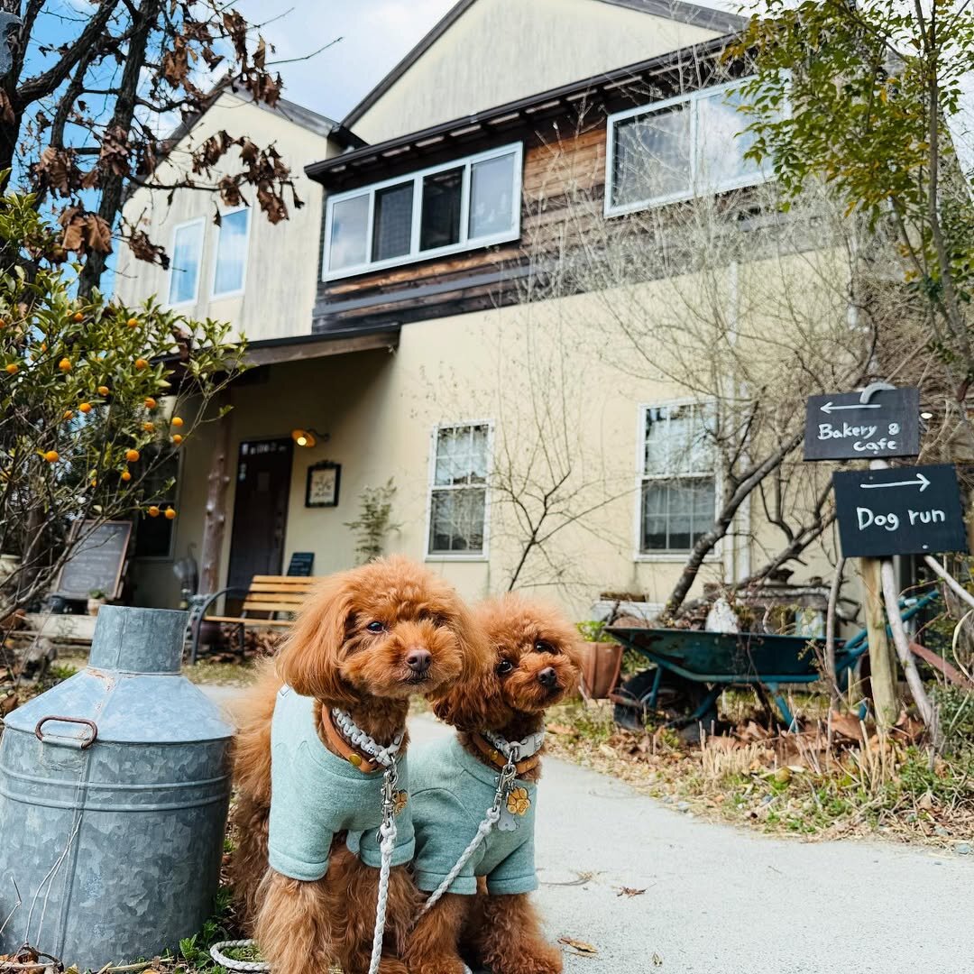 浜松市の犬連れできるカフェ