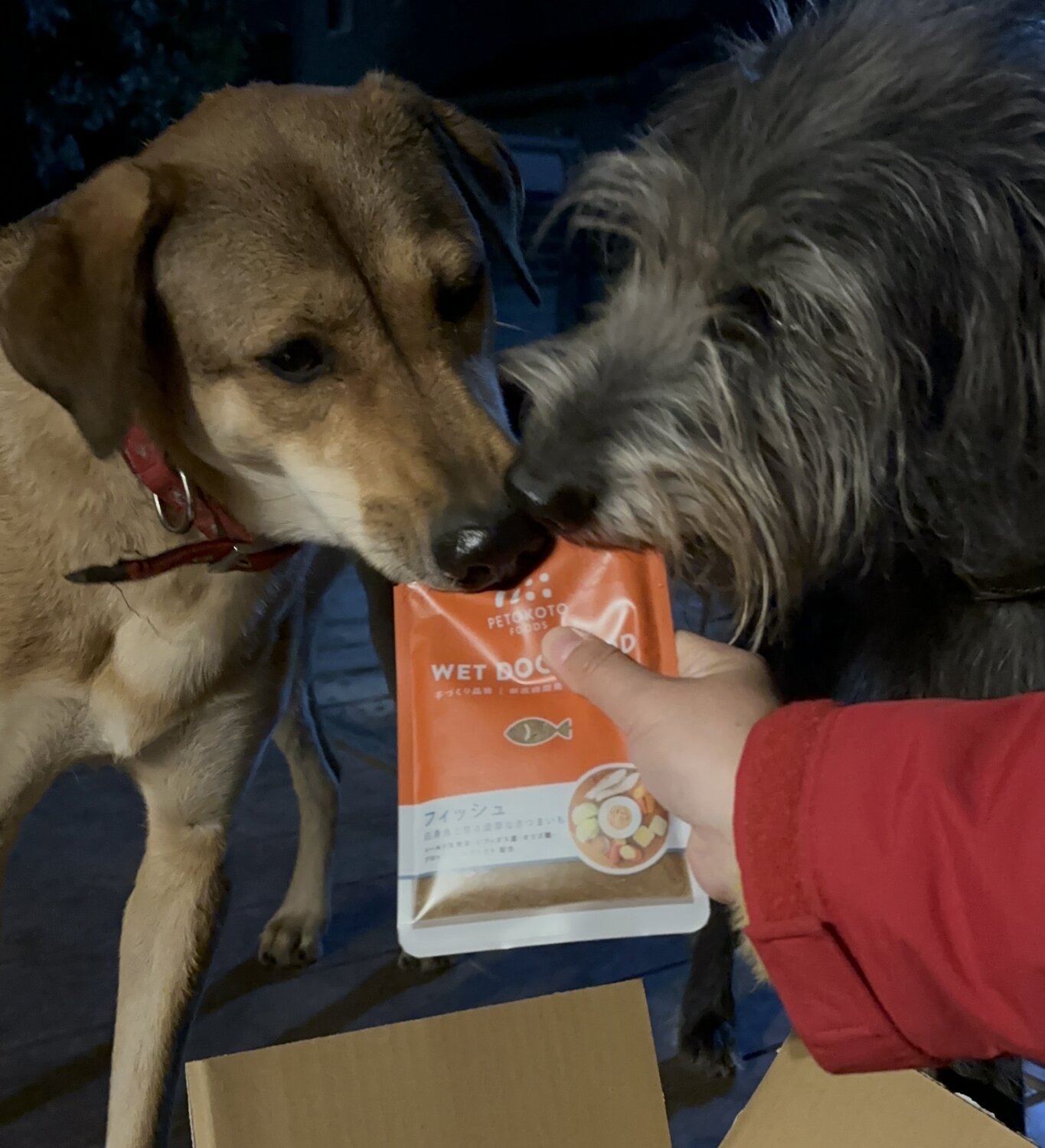 ペトコトフーズを寄付