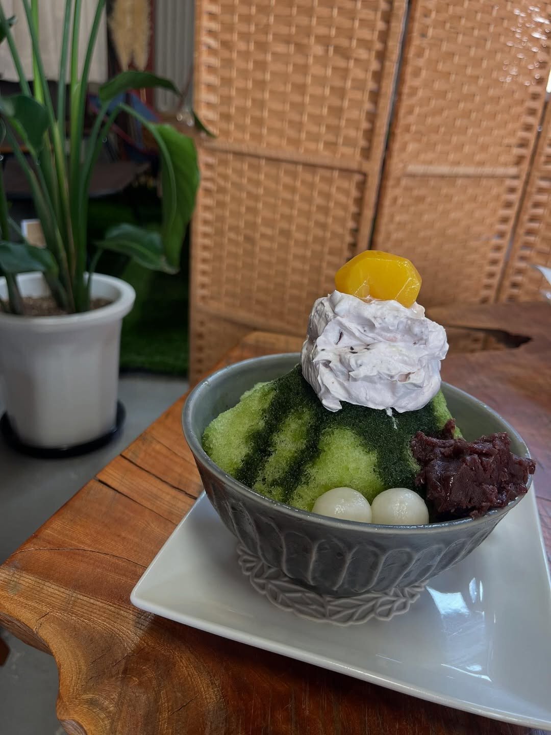 大分の犬連れできるカフェ