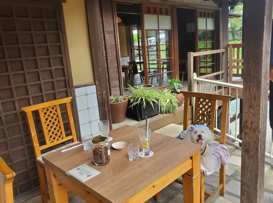三重の犬連れできるカフェ
