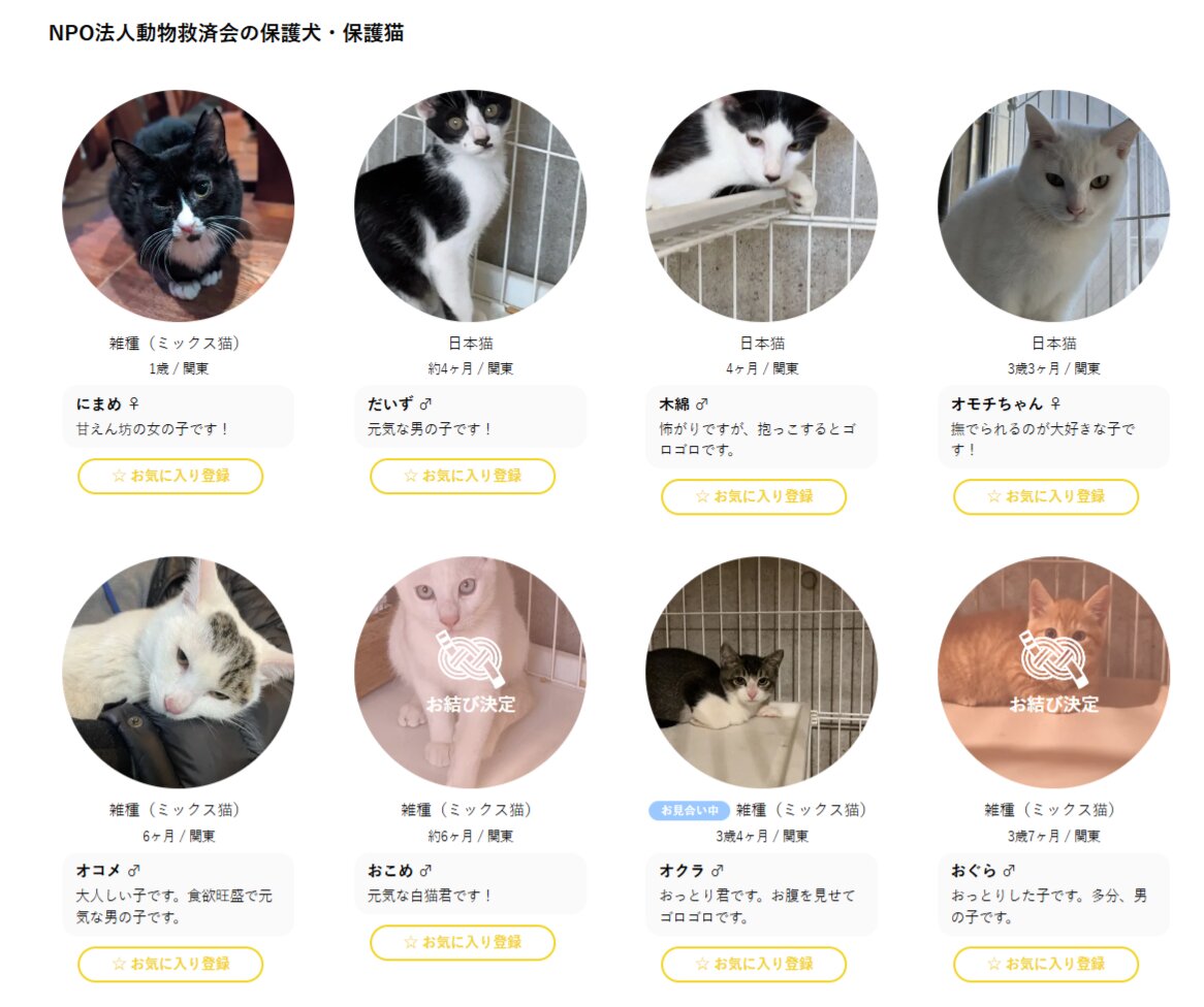 NPO法人動物救済会で保護している犬猫の一覧