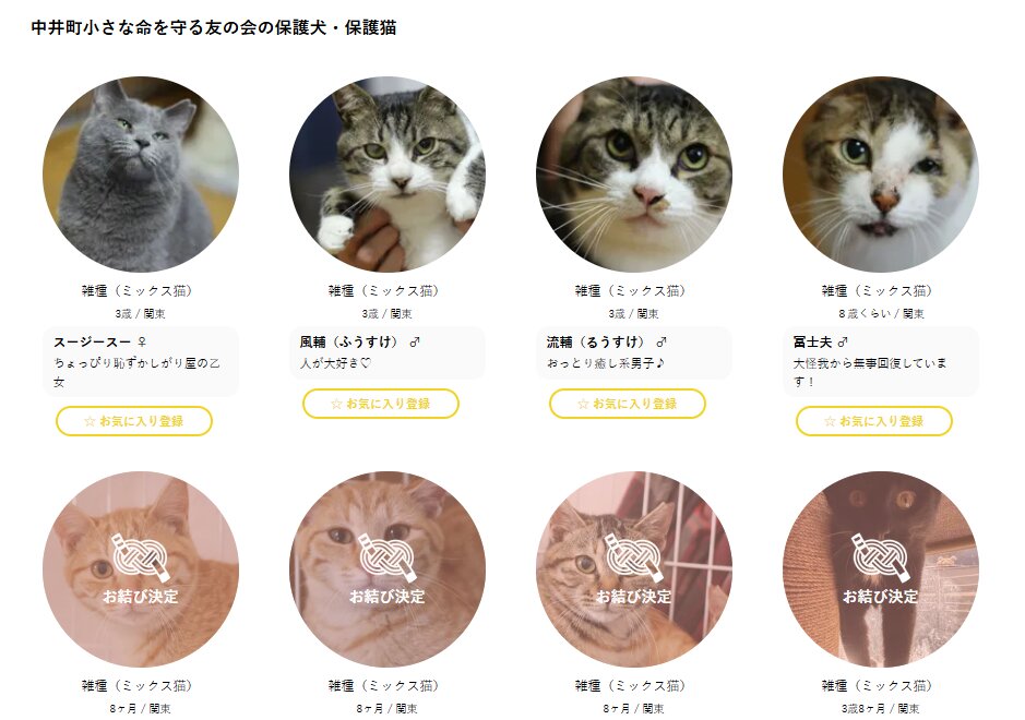 中井町小さな命を守る友の会で保護している犬猫の一覧