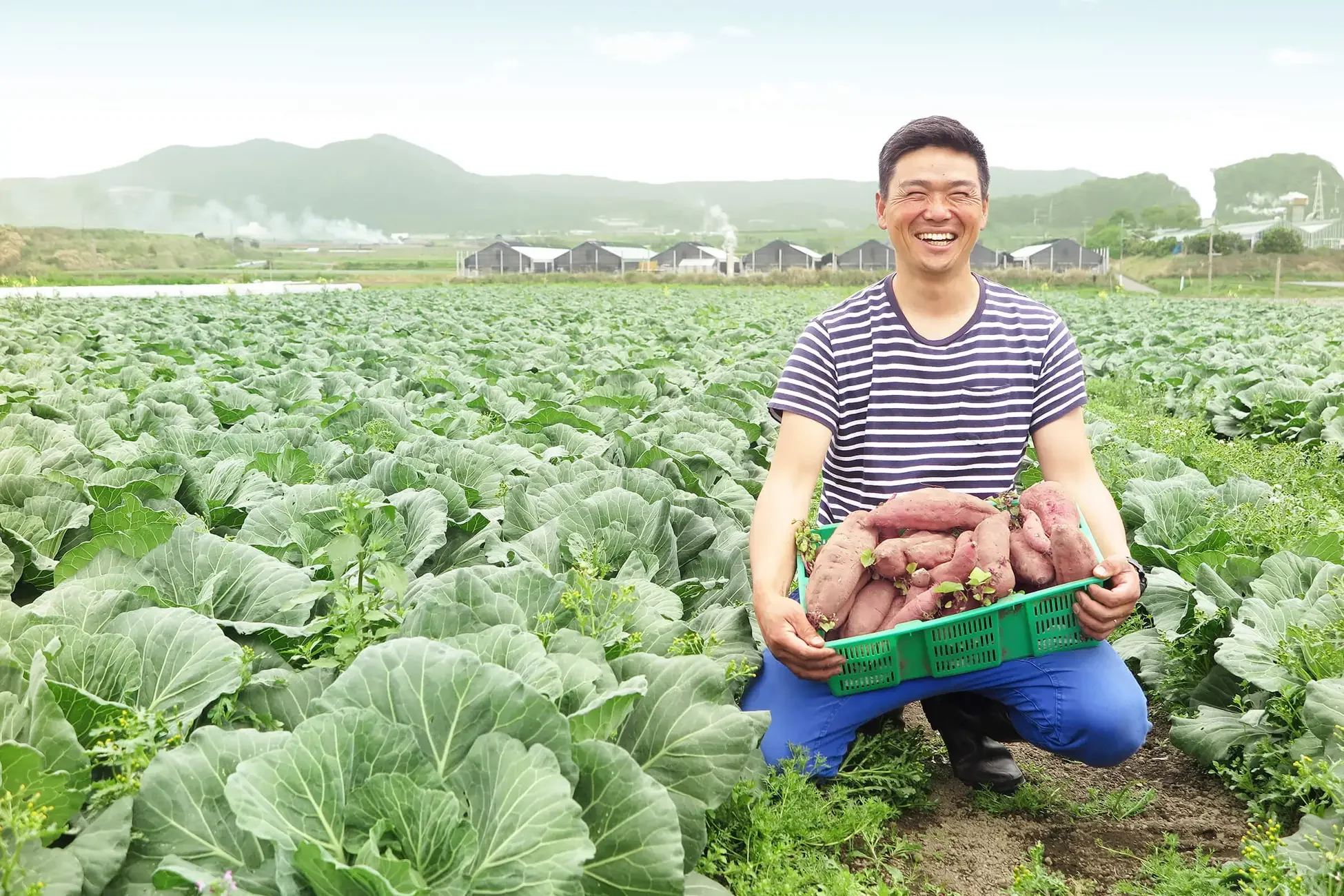 ペトコトフーズの食材をつくる生産者