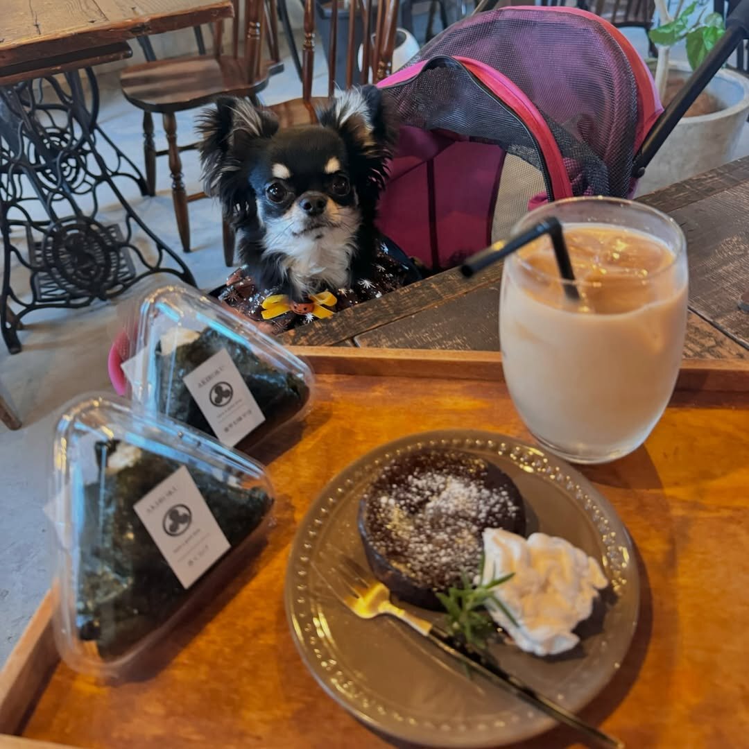 三重の犬連れできるカフェ