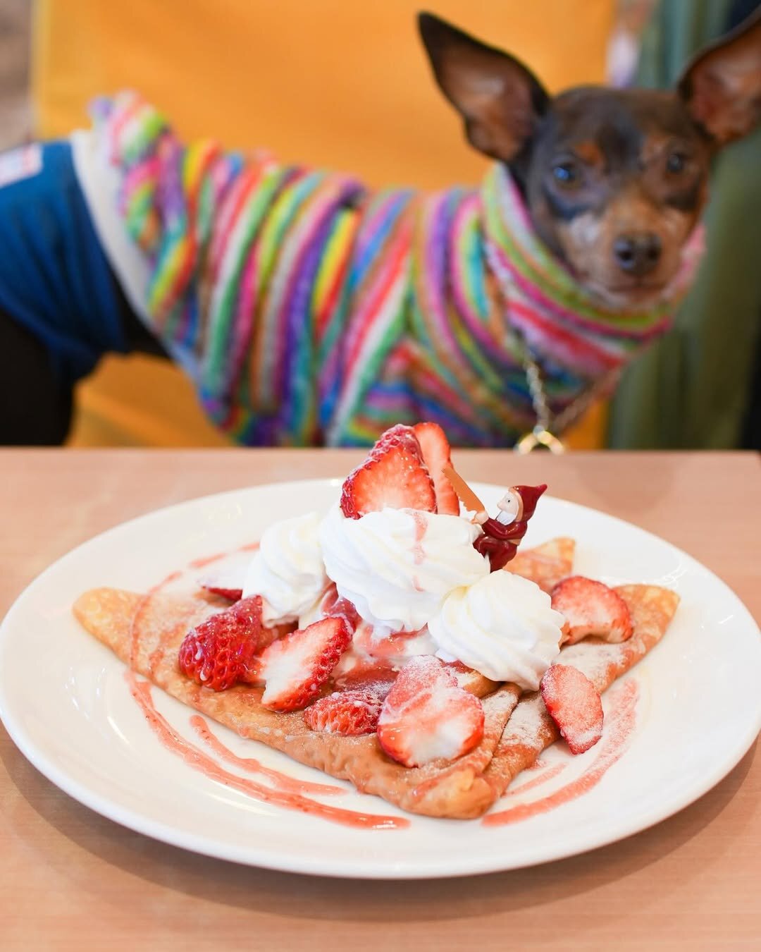 浜松市の犬連れできるカフェ