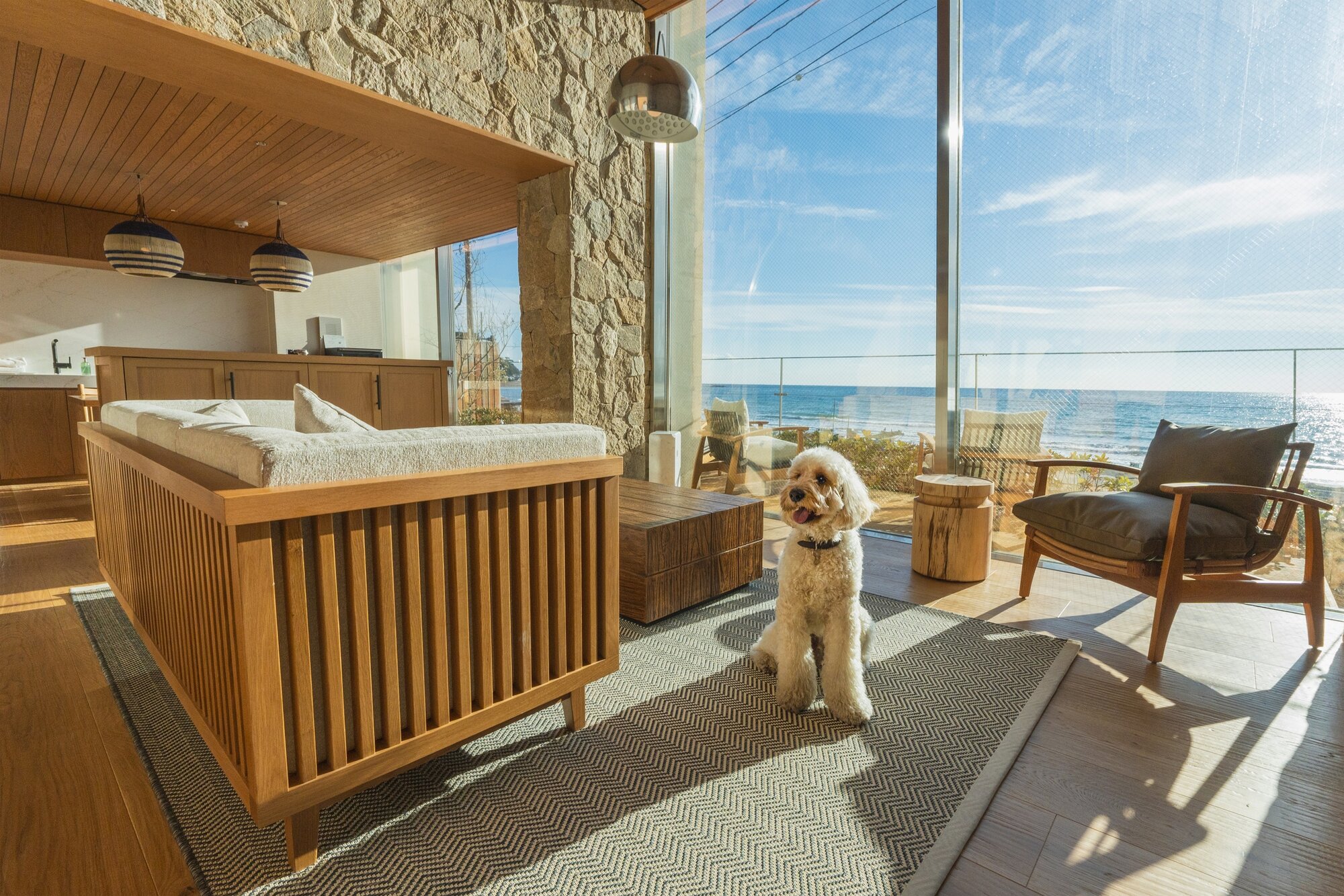 UMITO VILLA 鎌倉 材木座の室内で過ごす犬
