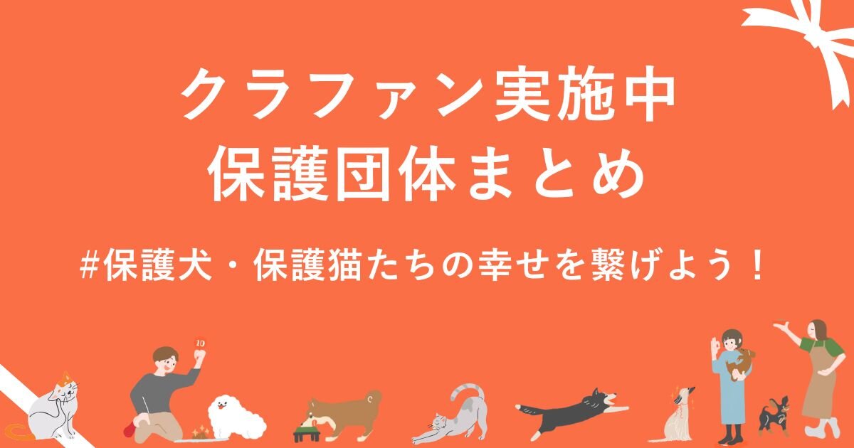 保護犬・保護猫たちの幸せを繋げよう！クラウドファンディング実施中の保護団体をペトコトが紹介