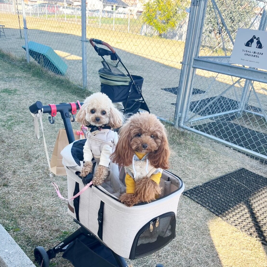 宮崎のドッグラン