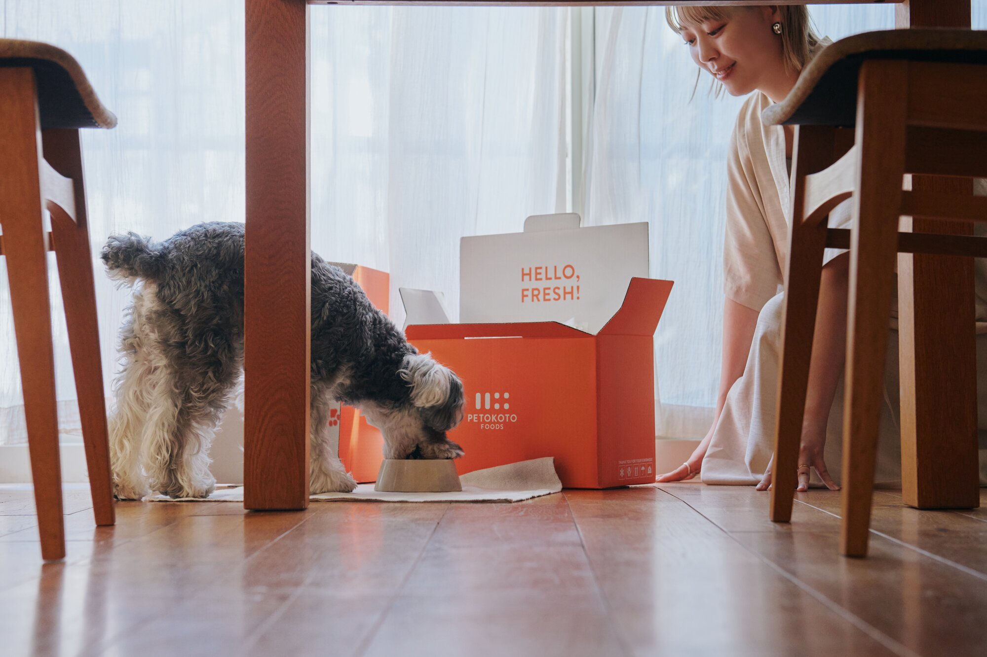 ペトコトフーズを愛犬が食べる様子
