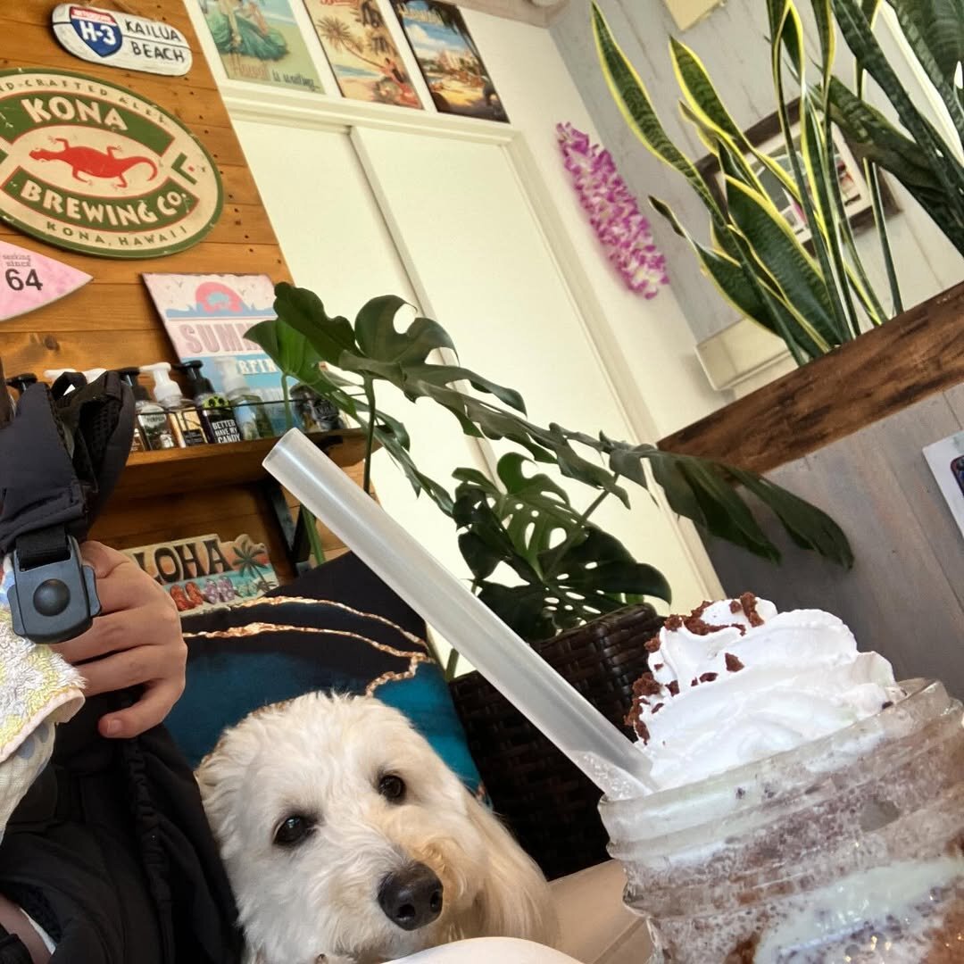 熊本市の犬連れできるカフェ