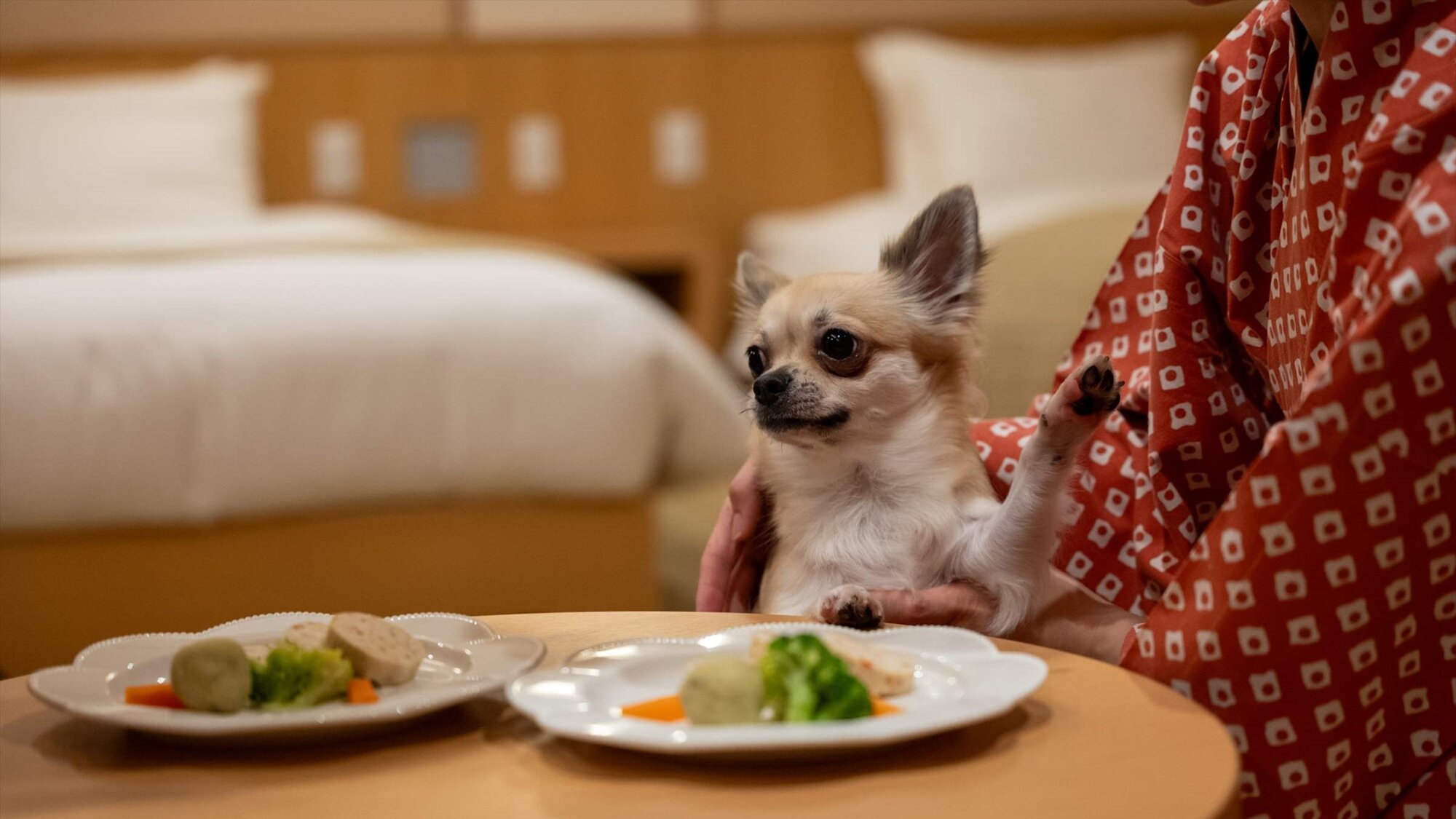 暖灯館きくのやの部屋食