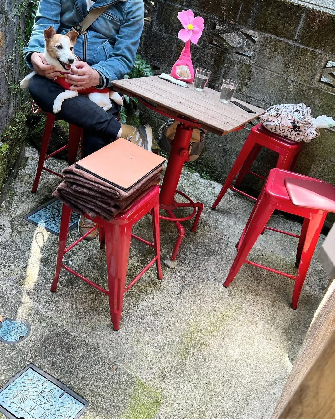 箱根の犬連れできるカフェ